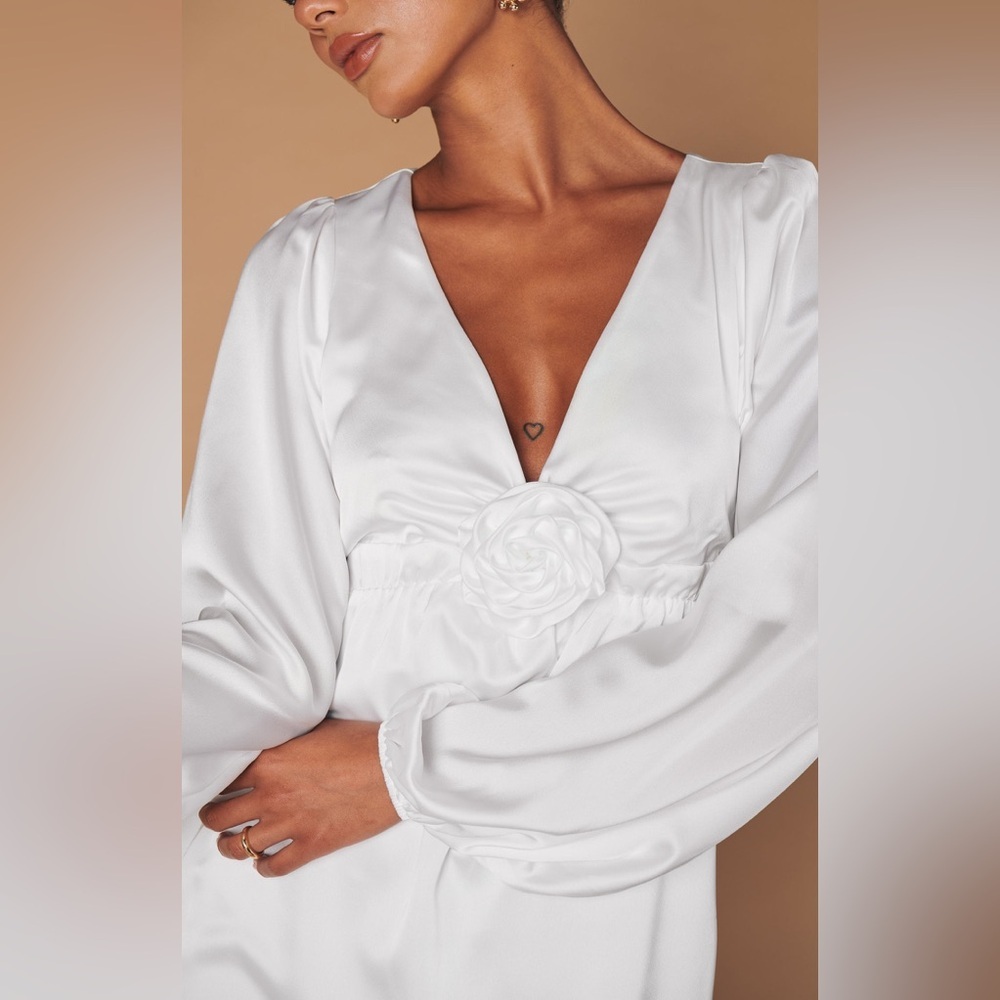 Show Me Your MuMu Rosetta Mini Dress - Picture 6 of 11